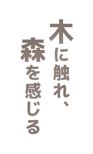 木に触れ、森を感じる