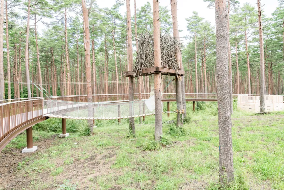 ツリーハウスパーク-写真